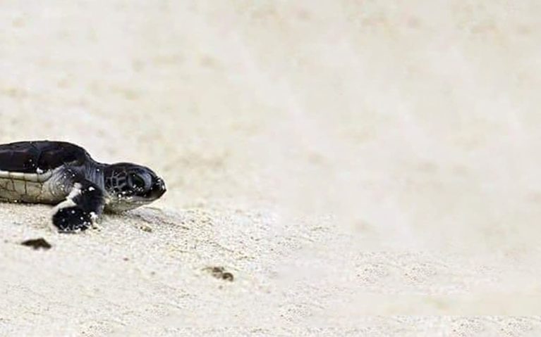 1920-x815_conservation-min 1920-x815_conservation-min